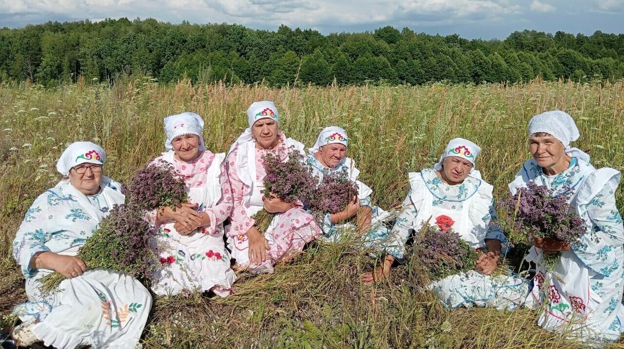 Душица, по-татарски — мәтрүшкә, входит в состав традиционного татарского травяного чая. Сбор травы обычно происходит в июле — начале августа, в период цветения. Источник фото: сайт Всемирного конгресса татар