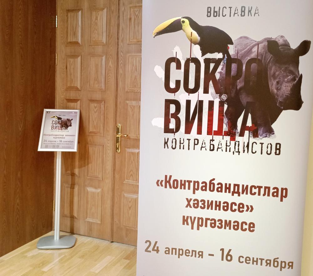 В Казани можно увидеть «Сокровища контрабандистов»