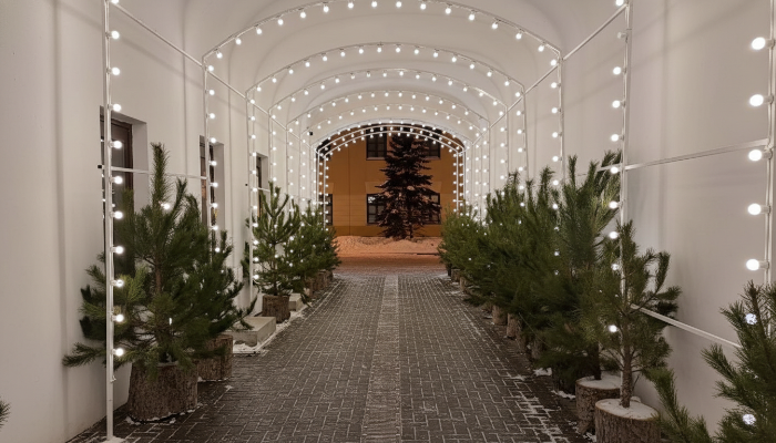 Новогодняя программа в Казани подходит к завершению — но зима в городе всё ещё сияет