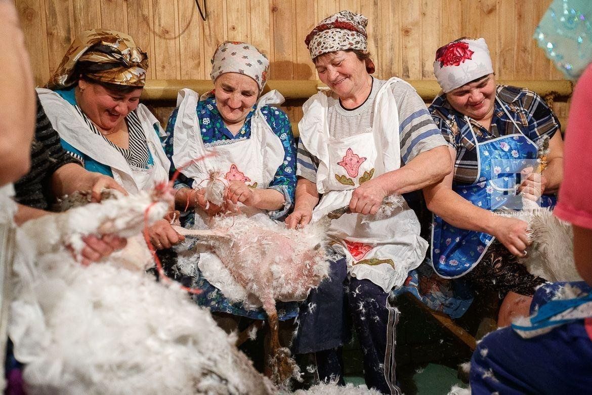 Как гуси помогали татарам в поисках достойной невесты