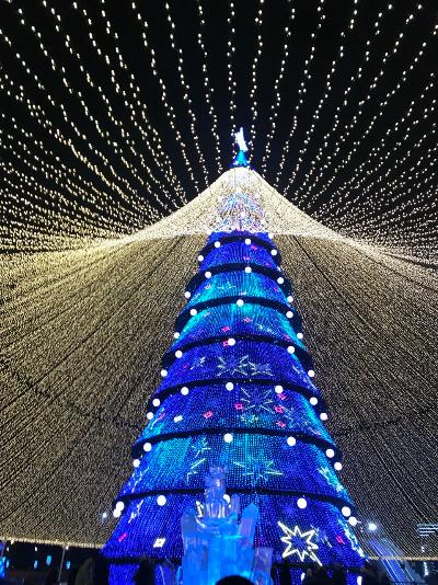 Открытие ёлок в Казани!
