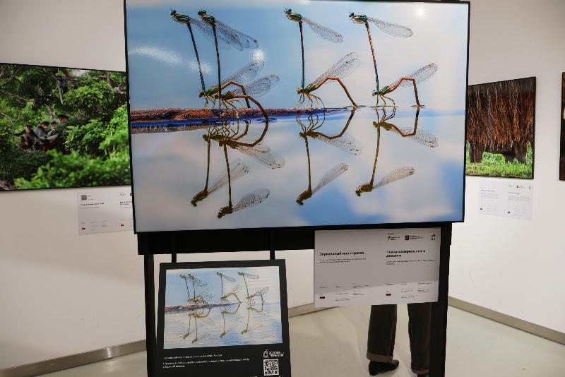 В Татарстане развивается инклюзивный туризм