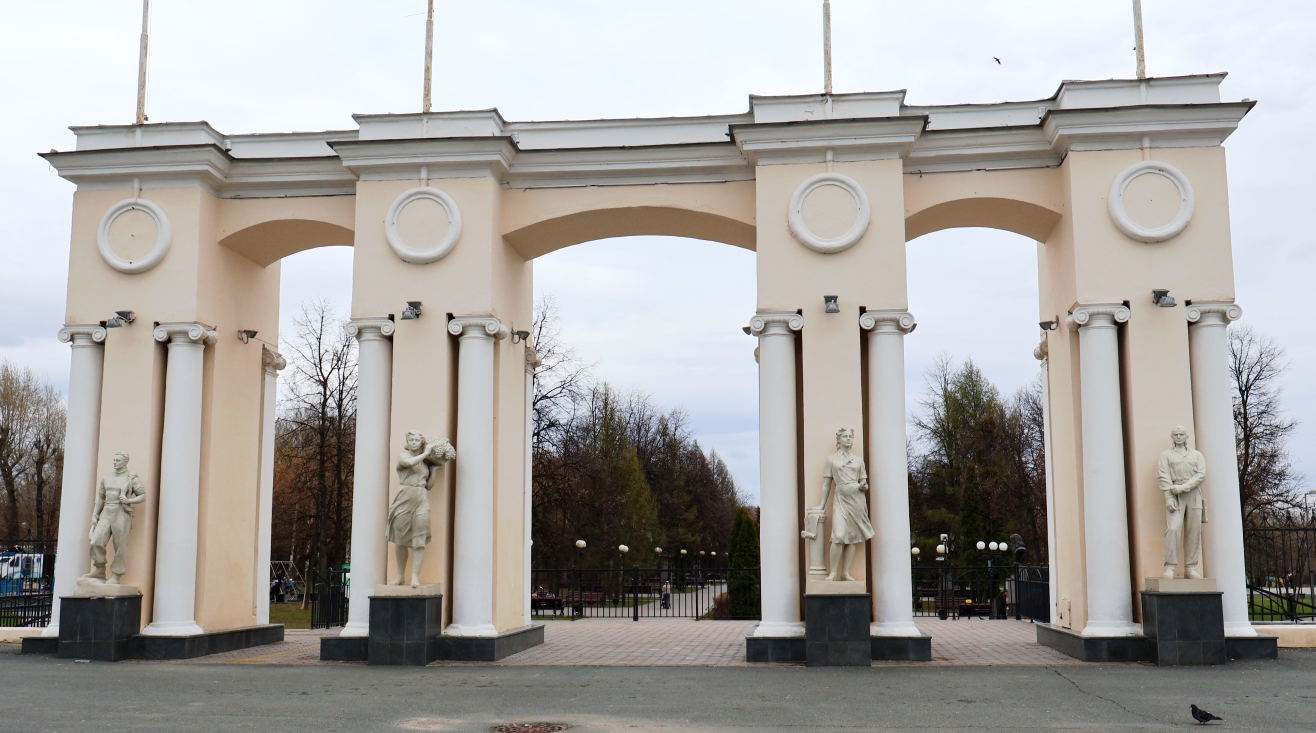 В парке «Крылья Советов» в 2025 году заложена кедровая аллея, пока в ней 20 деревьев. Фото: Дмитрий Сивков