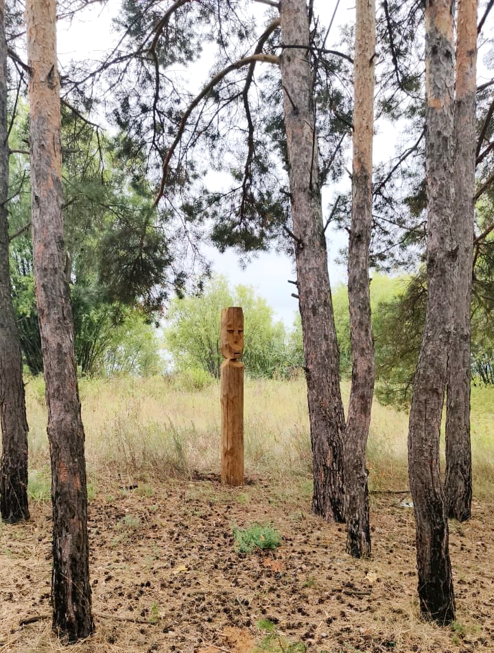 По всему периметру заповедной части площадью 3,5 га установлены деревянные статуи, «охраняющие» историко-культурное наследие эпохи раннего железа (VIII–III вв. до н. э.), а главное — позволяющие обозначить границы памятника. Фото: Елабужский государственный музей-заповедник