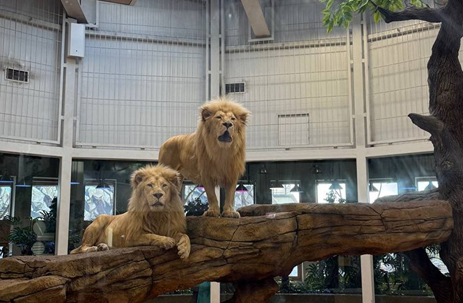 Фото: Казанский зоопарк