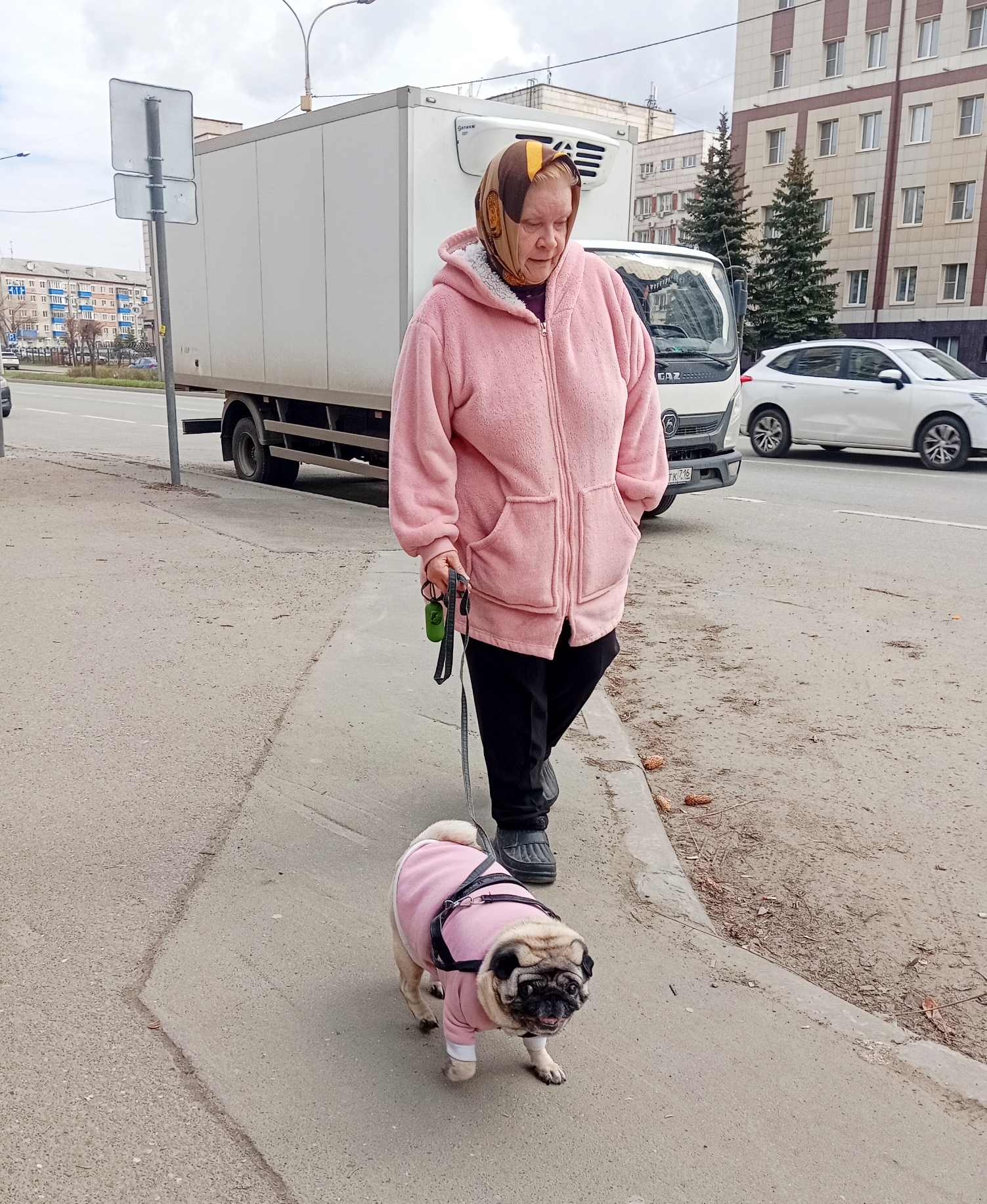 Там, где поблизости нет специализированных площадок, казанцам приходится выгуливать своих питомцев на улицах. Фото: Дмитрий Сивков