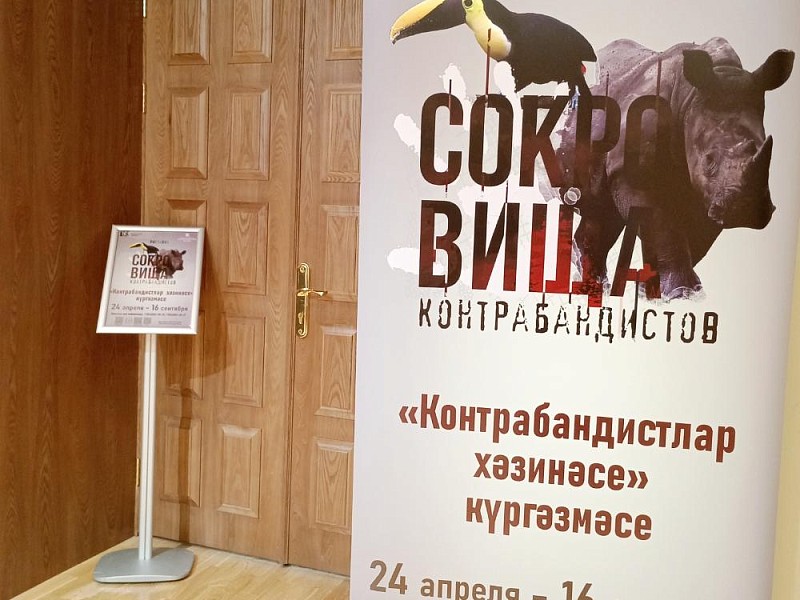 В Казани можно увидеть «Сокровища контрабандистов»