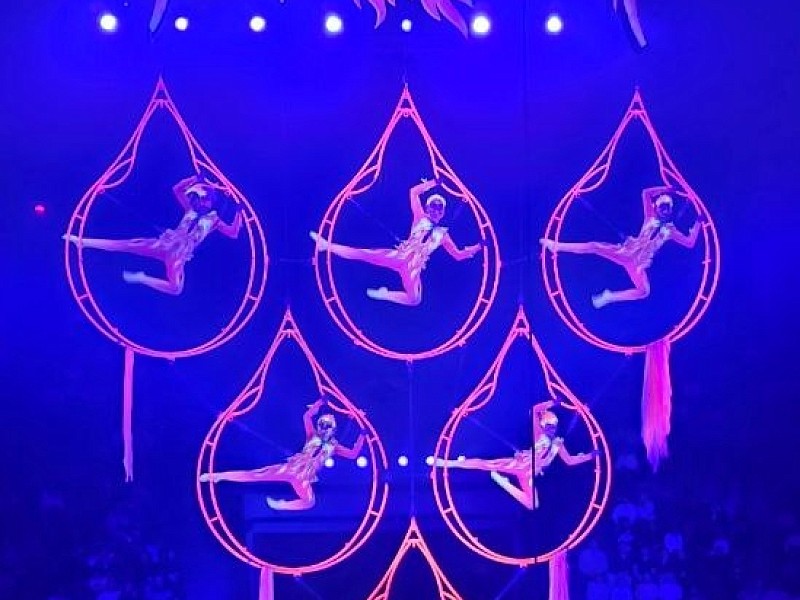 Весенний цирковой вояж в Казанском цирке