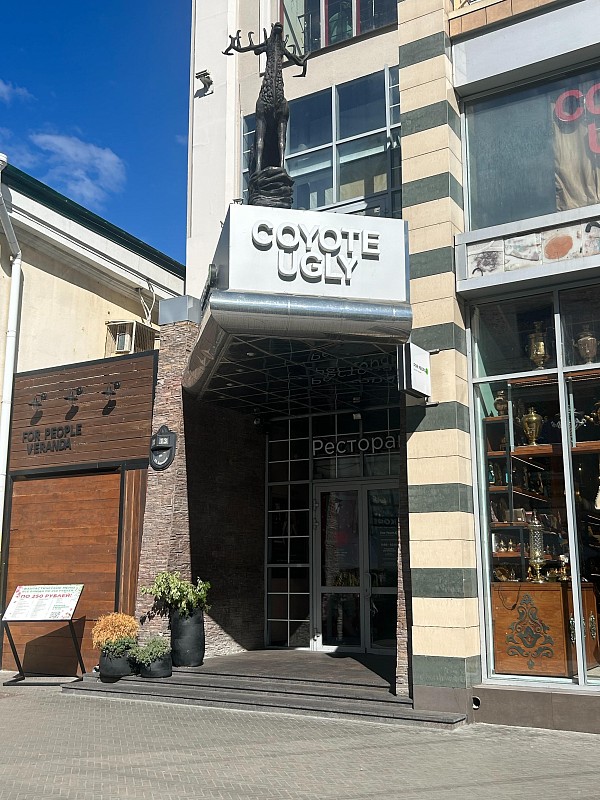 Гадкий Койот