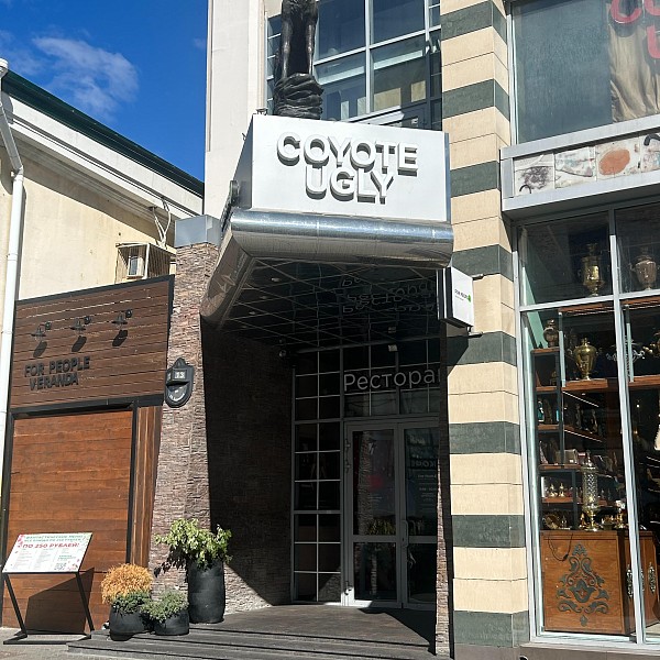 Гадкий Койот