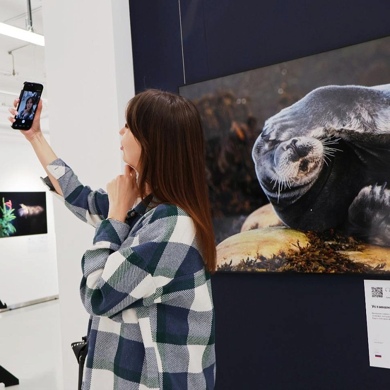 Встреча с дикой природой крупным планом: в Казани продолжает работу фестиваль «Золотая черепаха»